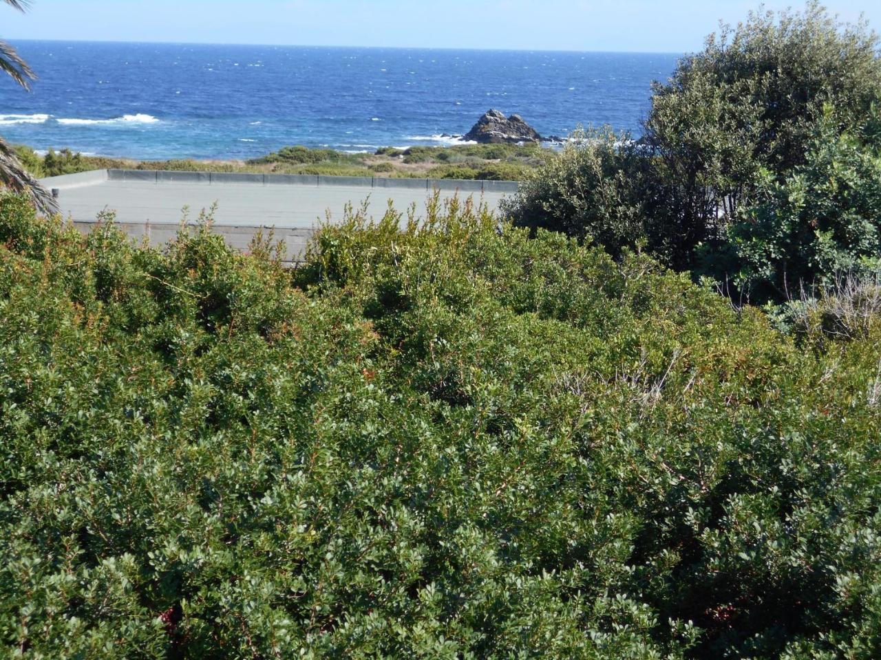 Le Case Punta Negra Stintino Kültér fotó