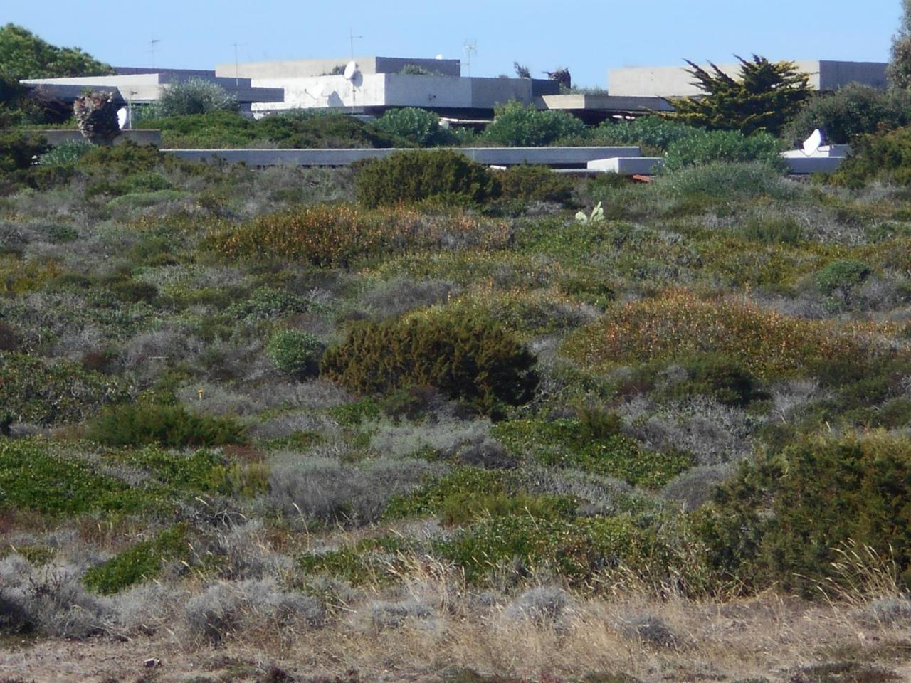 Le Case Punta Negra Stintino Kültér fotó