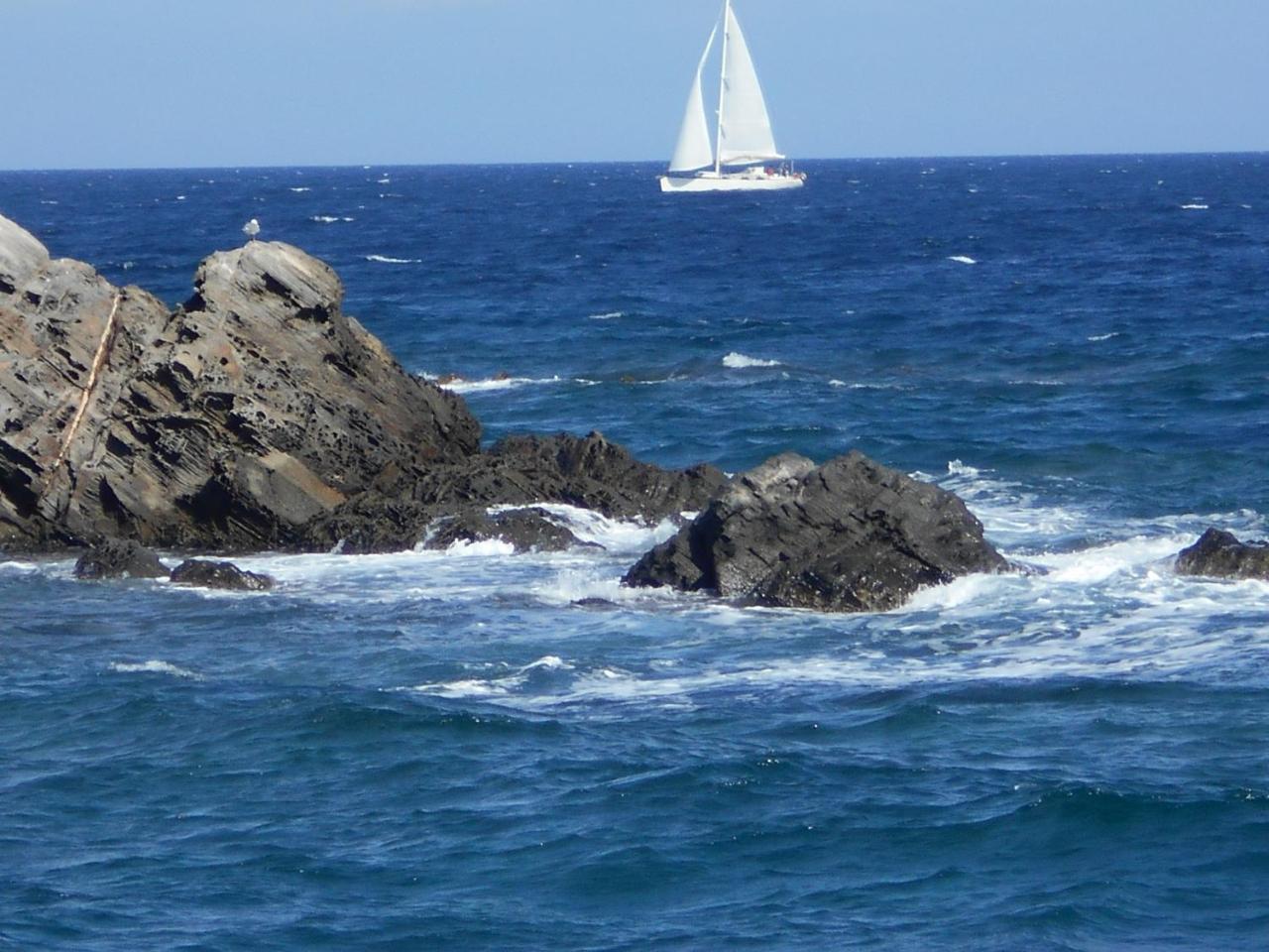 Le Case Punta Negra Stintino Kültér fotó